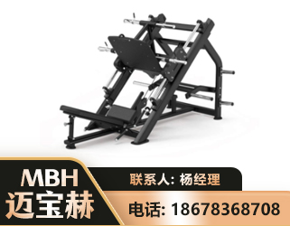 儋州45°倒蹬训练器