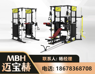 儋州多功能综合训练器