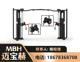 儋州大飞鸟训练器