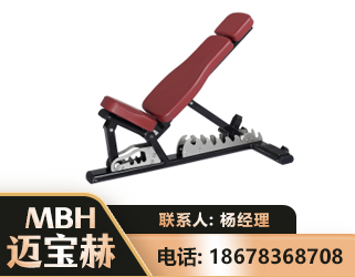 儋州可调哑铃椅