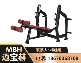 儋州豪华下斜卧推架