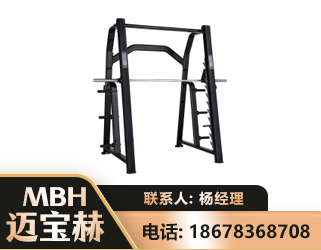 儋州史密斯机