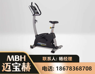 儋州立式健身车